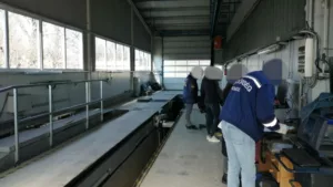 Korrupciós botrány a műszaki vizsgaállomáson: vesztegetés miatt letartóztatások