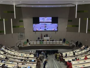 Tshwanei DA: Nemet mond az irreális adóemelésekre