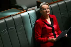 Sussan Ley, a Liberal Párt első női vezetője
