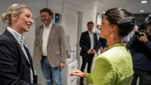 A BSW és az AfD közötti egyezségek és ellentétek