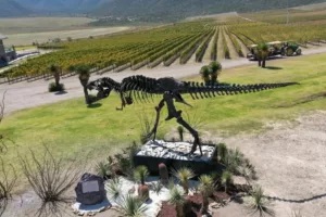 Coahuila: Mexikó feltörekvő borvidéke