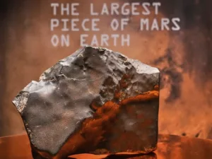 Mars legnagyobb földi darabja 5,3 millió dollárért kelt el, de a fiatal dinoszaurusz vitte a pálmát