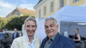 Geld und Netzwerke: Der Ehrgeiz der AfD