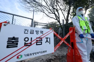 Magas kockázatú madárinfluenza eset Dél-Koreában