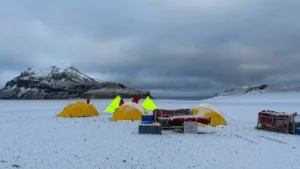 Halálos madárinfluenza törzs érkezett Ausztrália távoli területére