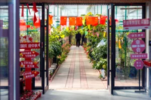 Kína meghosszabbította a vízummentességi programot a dél-koreaiak számára 2026 végéig