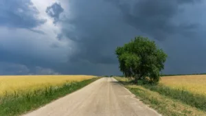 Viharos szél söpör végig az országon hétfőn