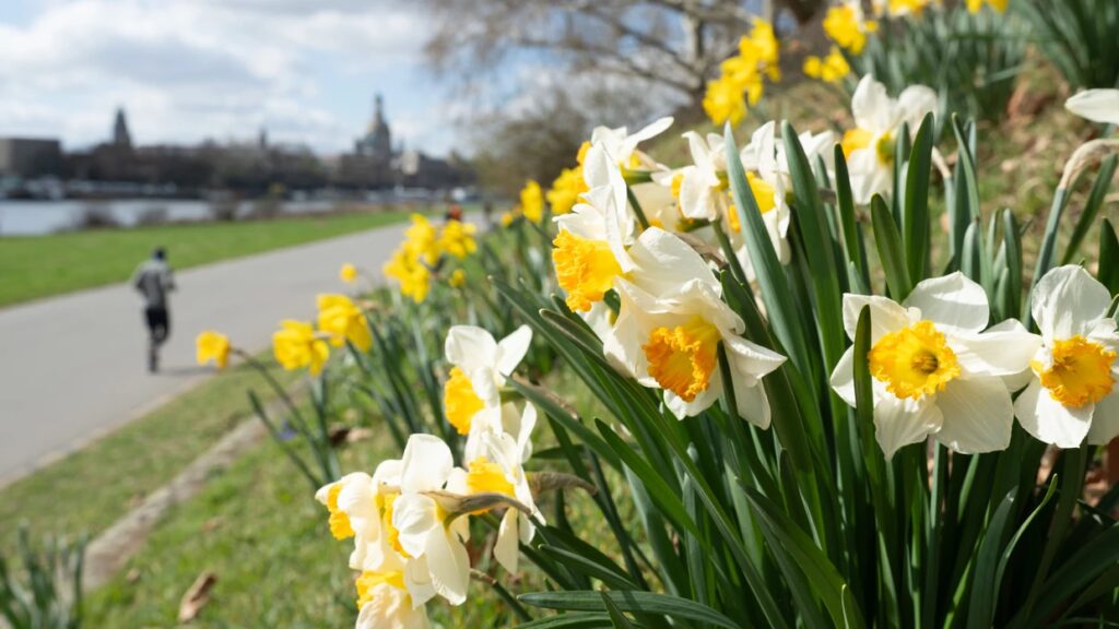 A Német Kormány Tavaszi Reformtervei: Mit Hoznak Valójában?
