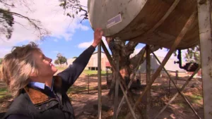 Kettős csapás a tűzvész sújtotta közösségre: tolvajok célpontjává váltak a farmerek