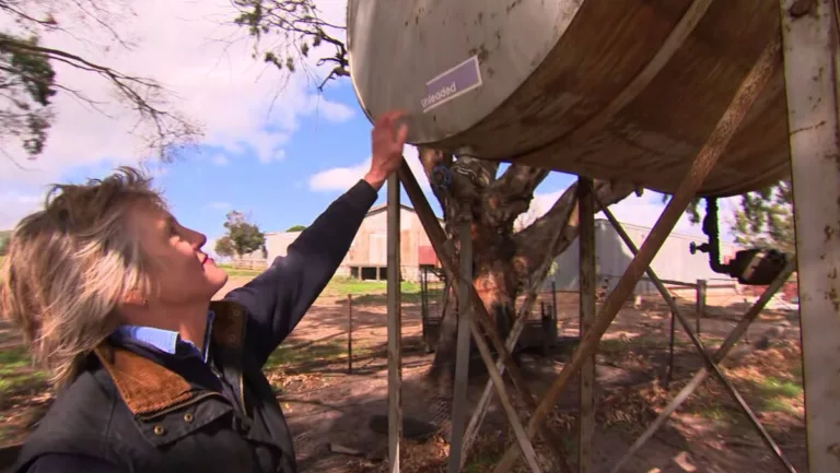 Kettős csapás a tűzvész sújtotta közösségre: tolvajok célpontjává váltak a farmerek