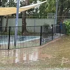 Zűrzavar az Essendon Játékosok Közötti Megbeszélésen