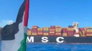 A globális erőhatalmak szerepe a világrend alakításában: Az Amnesty International kritikája