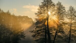 A húsvéti ünnep titokzatos ereje: A csend több mint zajhiány