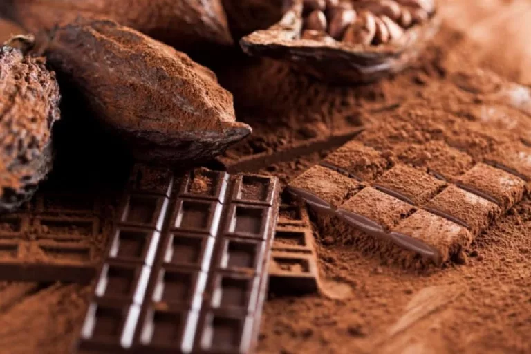 Csokoládé kalandozások a Yucatán-félszigeten